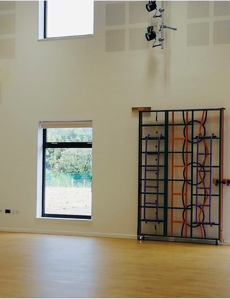 Gymnasium & wall bars